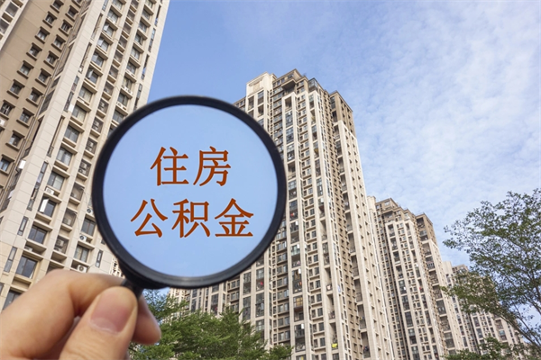公积金还看征信吗吗_邹城公积金代办在职离职封存服务